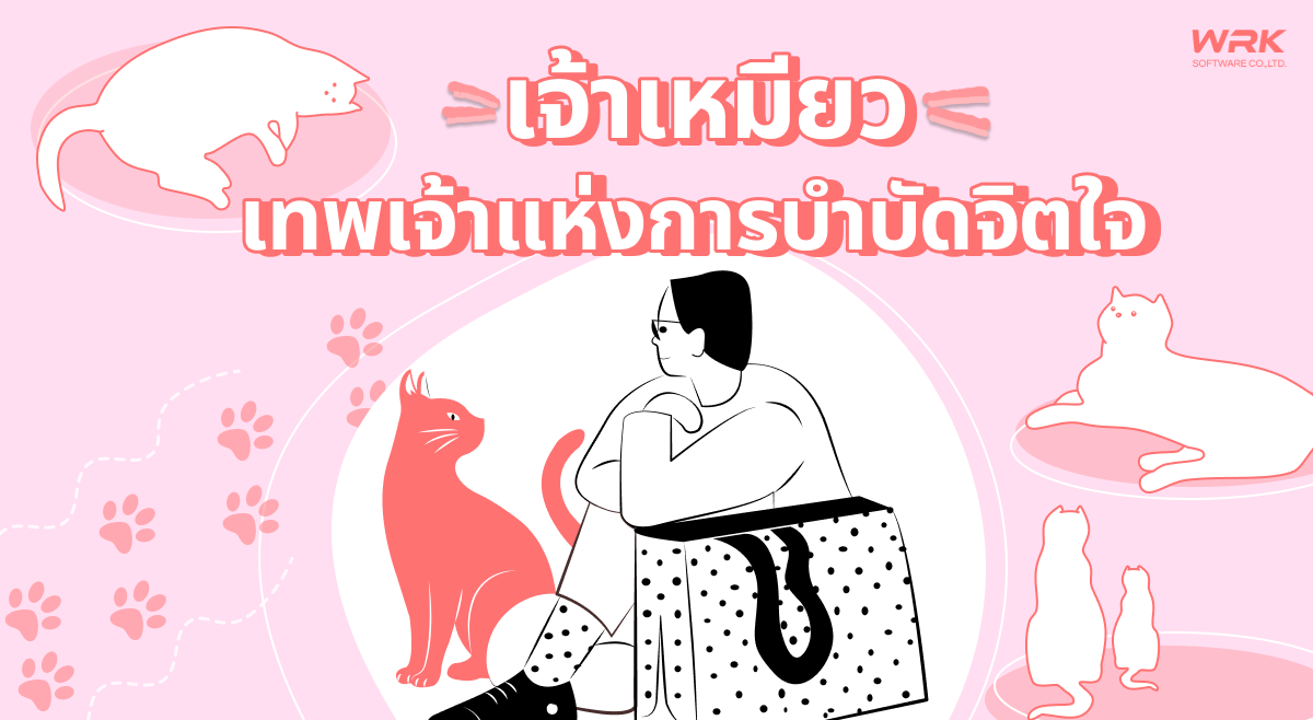 Cat Therapy กับการเยียวยาจิตใจมนุษย์ยุคโควิด